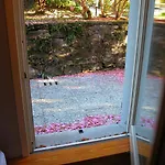 Апартаменты Villa Maria, Lakefront Art Villa On Lake Maggiore