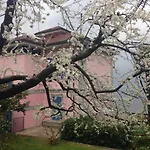 Villa Maria, Lakefront Art Villa On Lake Maggiore Рено-ди-Леджуно